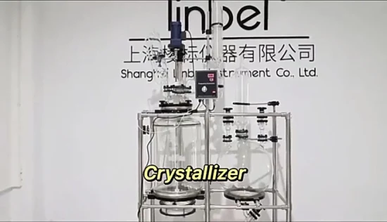 Equipo de laboratorio químico de 20L, 50L, 100L, filtro de Reactor de cristalización, filtro Nutsche de Reactor de vidrio con botella colectora