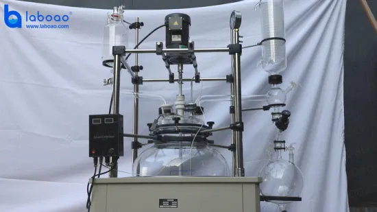 Laboao 3L Mini reactor de vidrio de una sola capa Reactor de tanque de agitación química